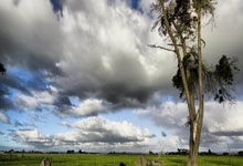 最新NBA总得分排行榜有哪些变化？谁在冲击历史巅峰？